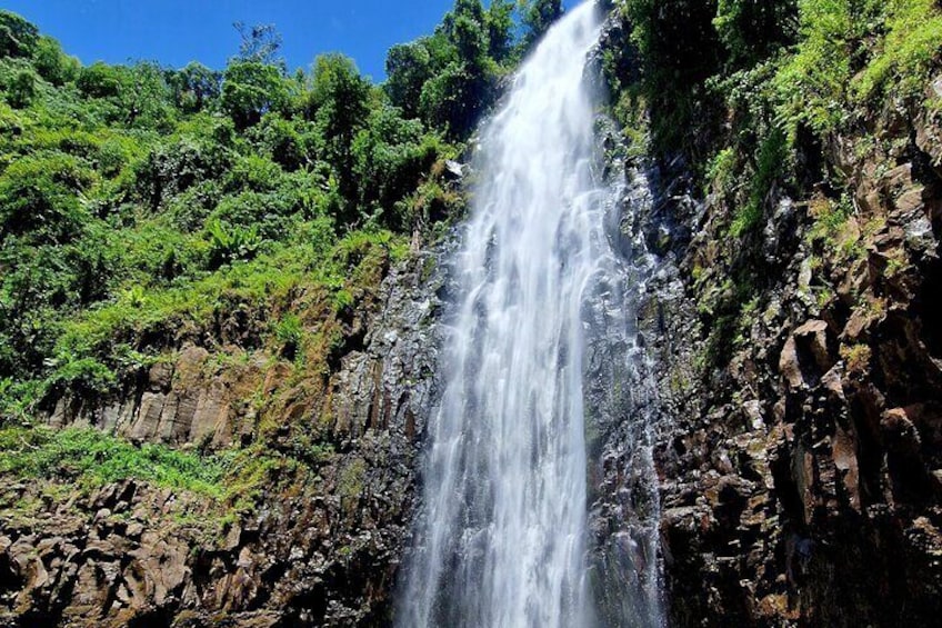 Waterfall, coffee tour & hot springs - lunch and drinks included