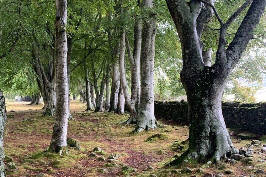 Invergordon Shore Tour: Loch Ness, Outlander Sites & Highlands