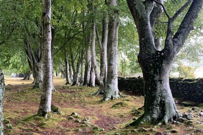 Invergordon Shore Tour: Loch Ness, Outlander Sites & Highlands