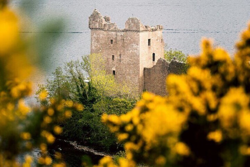 Invergordon Shore Tour: Loch Ness, Outlander Sites & Highlands