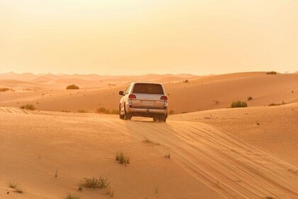 Private Morning Desert Safari with Dune Bashing & Sand Boarding