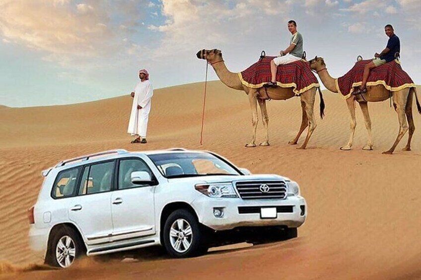 Discover the desert with camel rides and Bedouin hospitality
