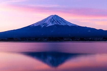 All-inclusive Sake BRE and Winery Tour with View of Mt. Fuji