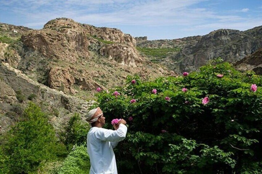 Full Day Tour to Nizwa Jabal Akhdar and Birkat Al Moz