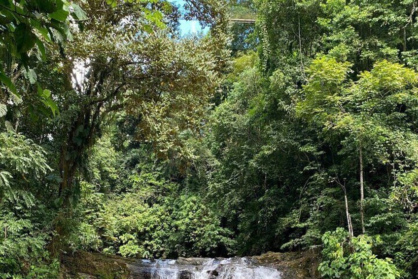 Eco Tour to Mulguri Waterfalls