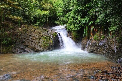 Eco Tour to Mulguri Waterfalls