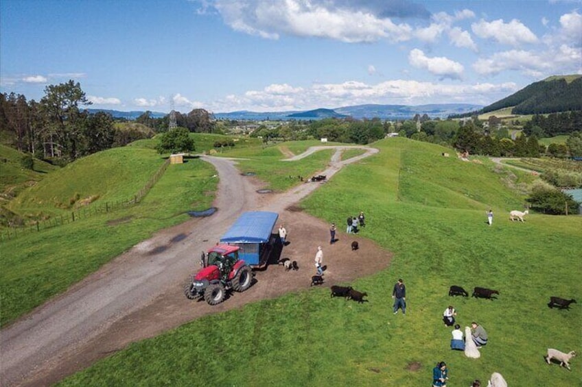 Rotorua Tour from Auckland with buffet Lunch at Skyline Summit