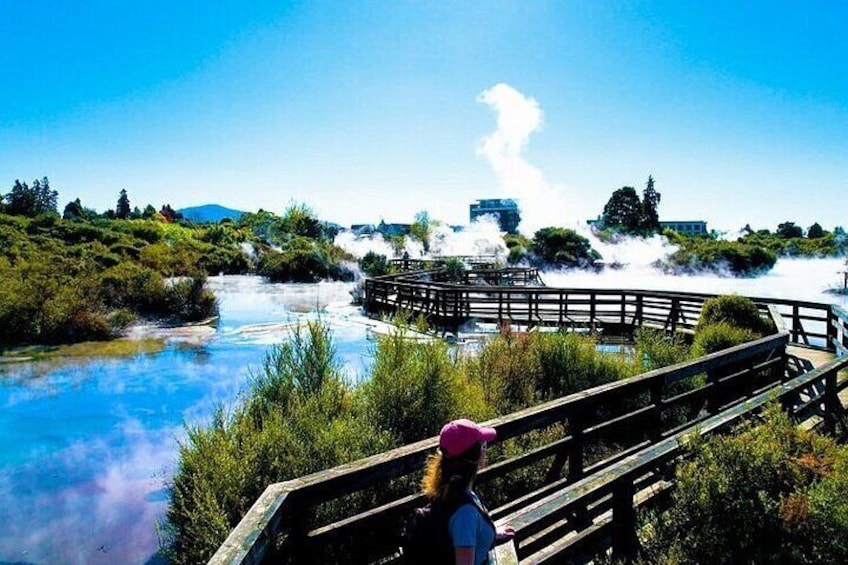 Rotorua Tour from Auckland with buffet Lunch at Skyline Summit