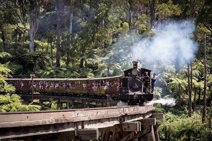 Melbourne Steam Train Penguin Island Day Tour