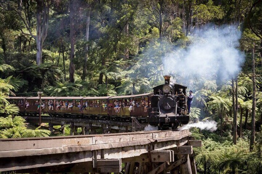 Melbourne Steam Train Penguin Island Day Tour