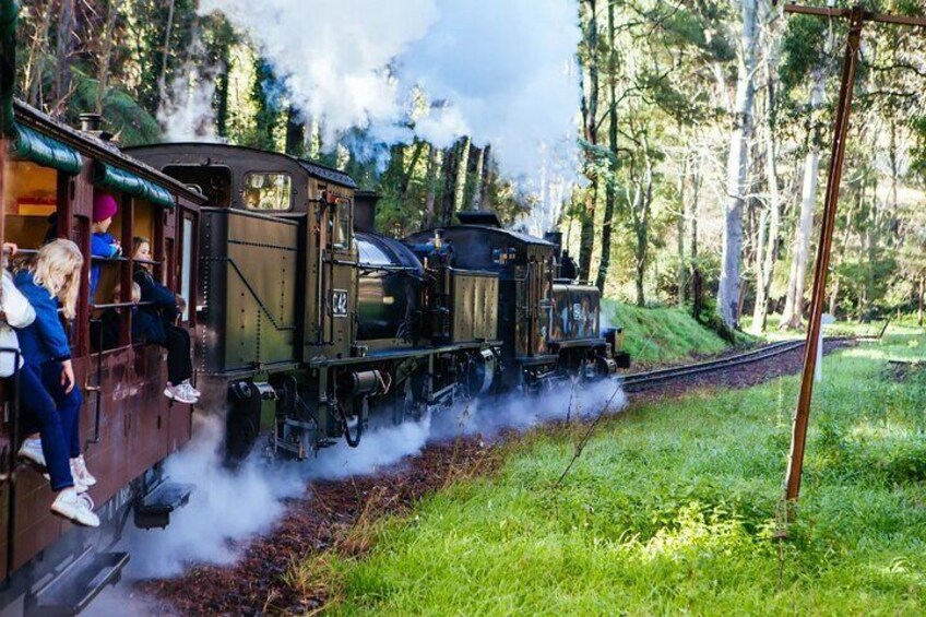 Melbourne Steam Train Penguin Island Day Tour