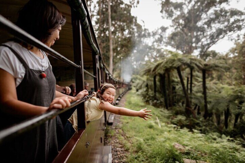 Melbourne Steam Train Penguin Island Day Tour