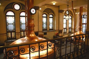 Heineken Experience & Hop on Hop off Cruise