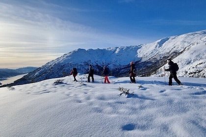 Snowshoe hiking Bergen Private Norway Mountain Guides