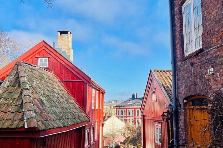 Best of Oslo: Scenic Hike, Norwegian Food & Hidden Gems