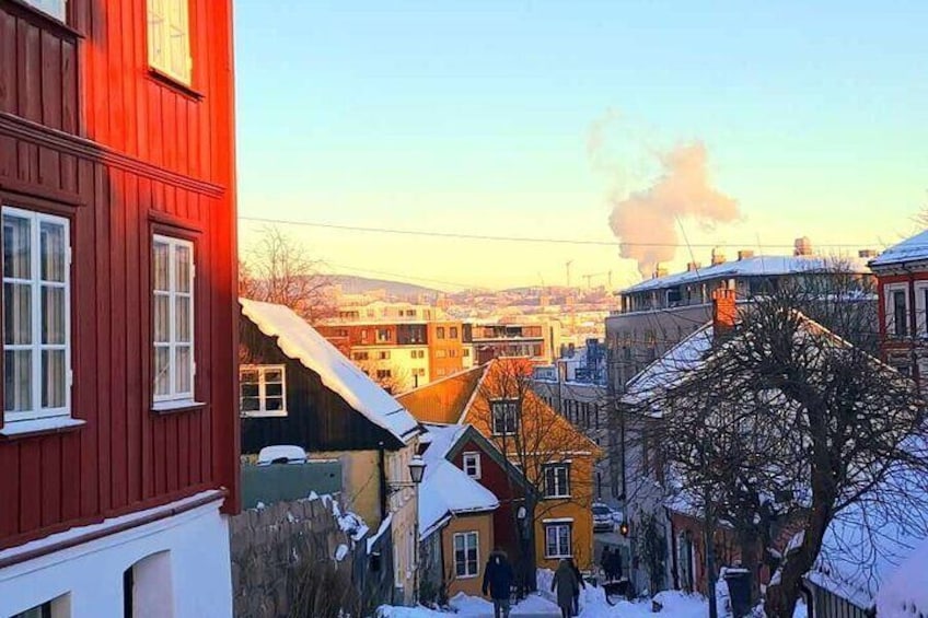 Best of Oslo: Scenic Hike, Norwegian Food & Hidden Gems