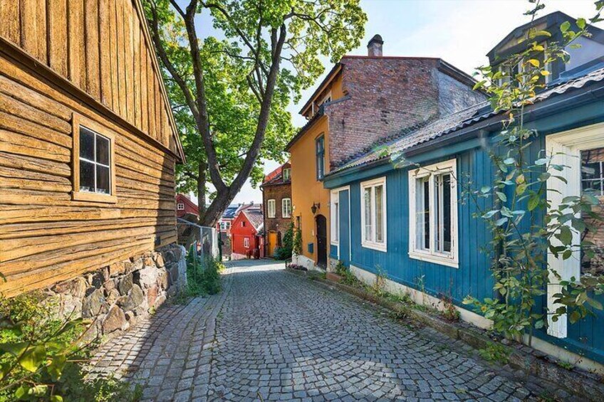 Best of Oslo: Scenic Hike, Norwegian Food & Hidden Gems