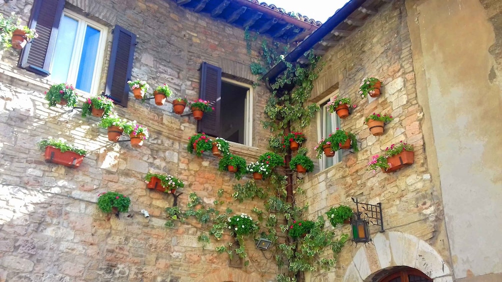 Picture 2 for Activity Assisi private tour: home of St. Francis, a place of Peace