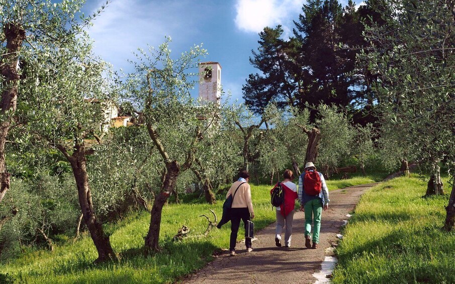 Picture 5 for Activity Lucca's Hilltop treasures: walking through history & nature