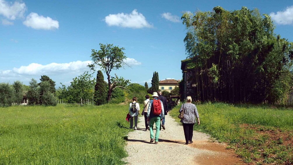 Picture 1 for Activity Lucca's Hilltop treasures: walking through history & nature