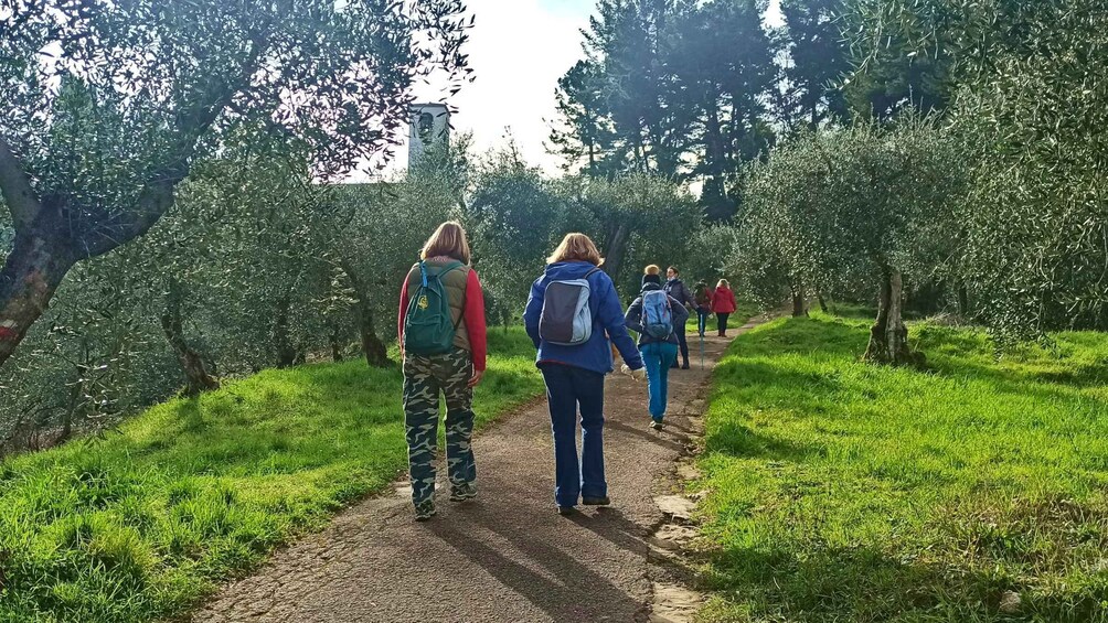 Picture 4 for Activity Lucca's Hilltop treasures: walking through history & nature