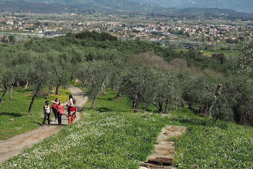 Picture 3 for Activity Lucca's Hilltop treasures: walking through history & nature