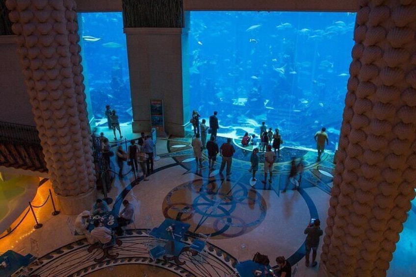 Dubai The Lost Chambers Aquarium Entrance Ticket