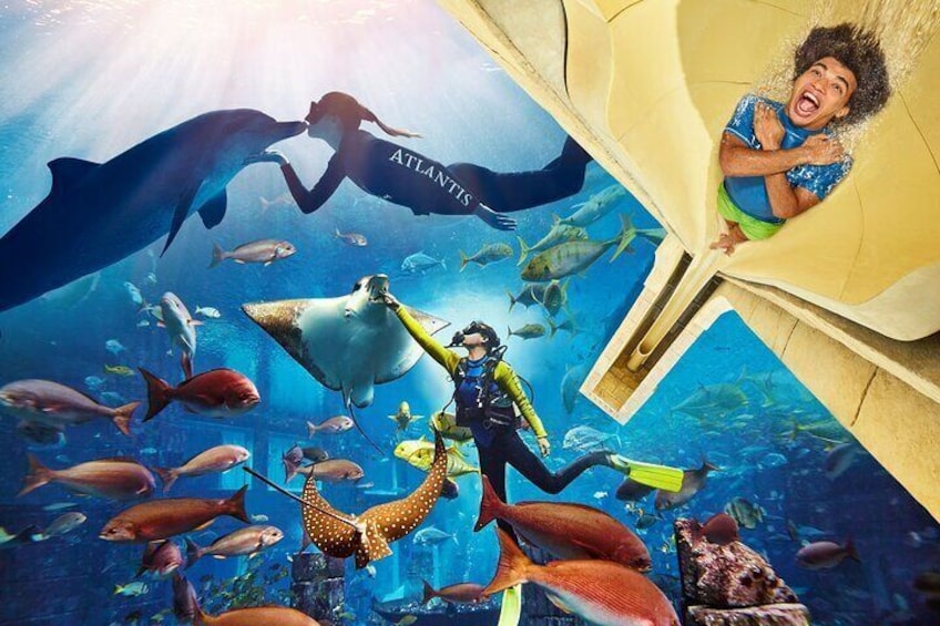 Dubai The Lost Chambers Aquarium Entrance Ticket