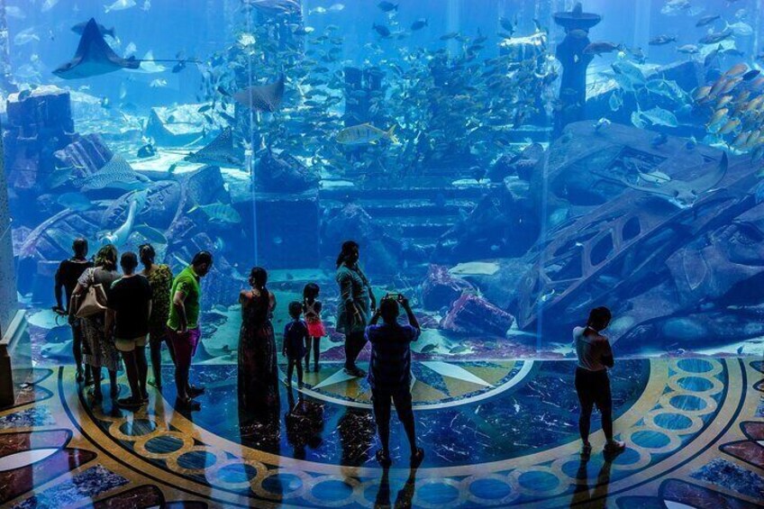 Dubai The Lost Chambers Aquarium Entrance Ticket