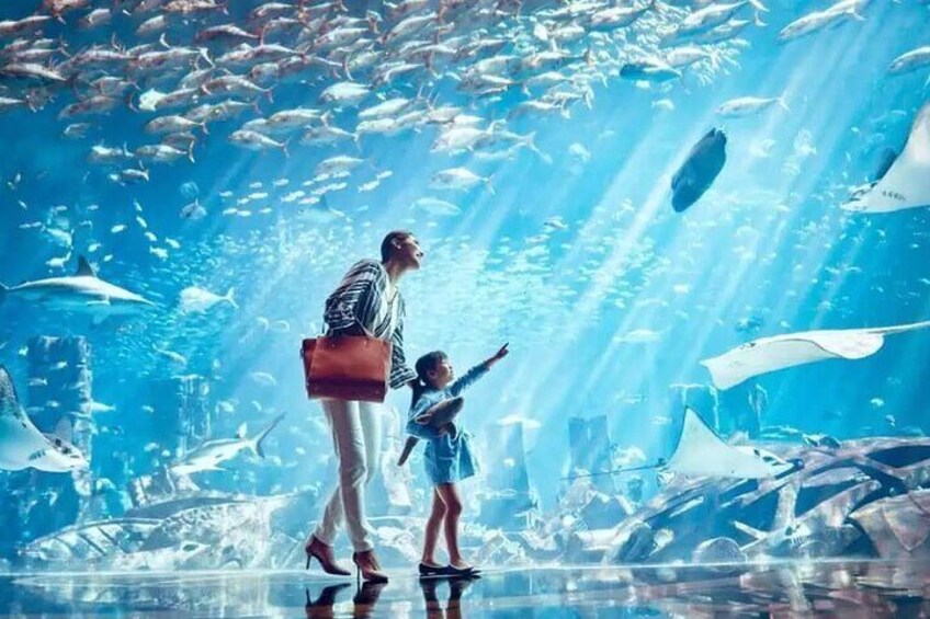 Dubai The Lost Chambers Aquarium Entrance Ticket
