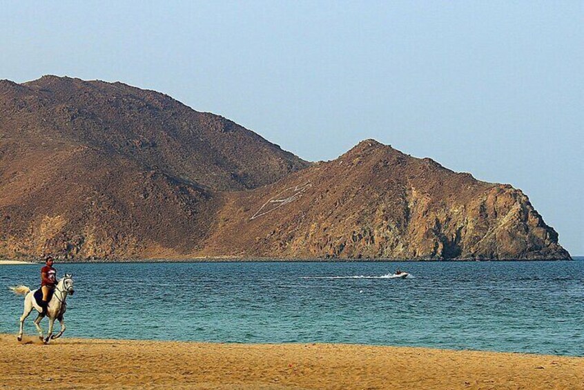 Khorfakkan Tour - From Dubai