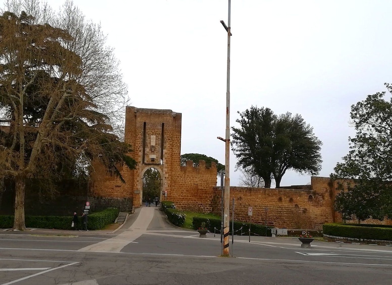 Picture 4 for Activity Orvieto private tour: The Pearl of Medieval Architecture