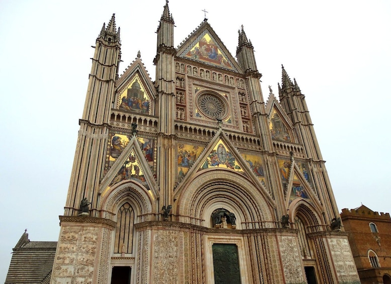 Picture 5 for Activity Orvieto private tour: The Pearl of Medieval Architecture