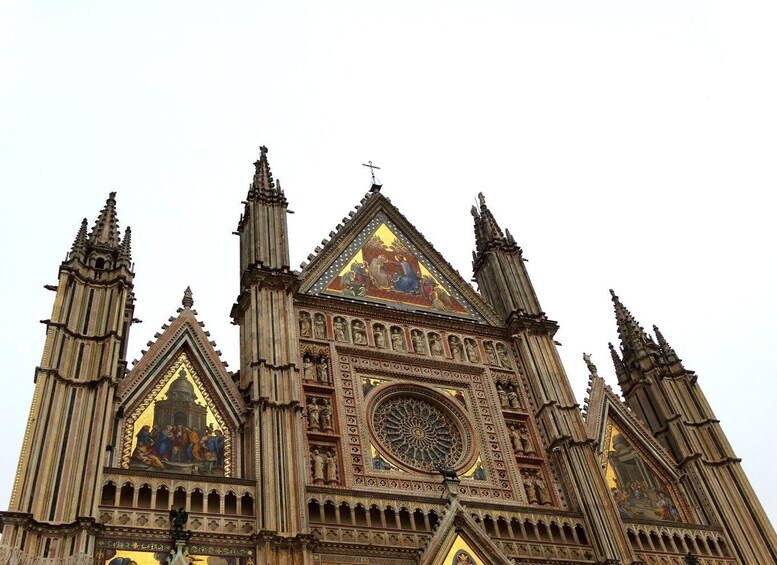 Picture 1 for Activity Orvieto private tour: The Pearl of Medieval Architecture