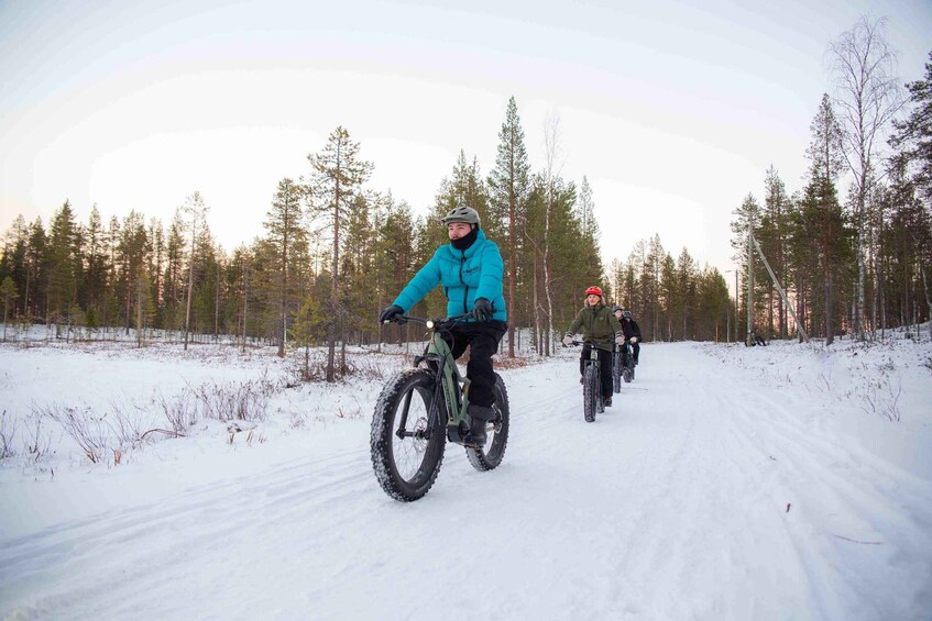 Picture 2 for Activity Levi: Reindeer Farm E-Fatbike Safari