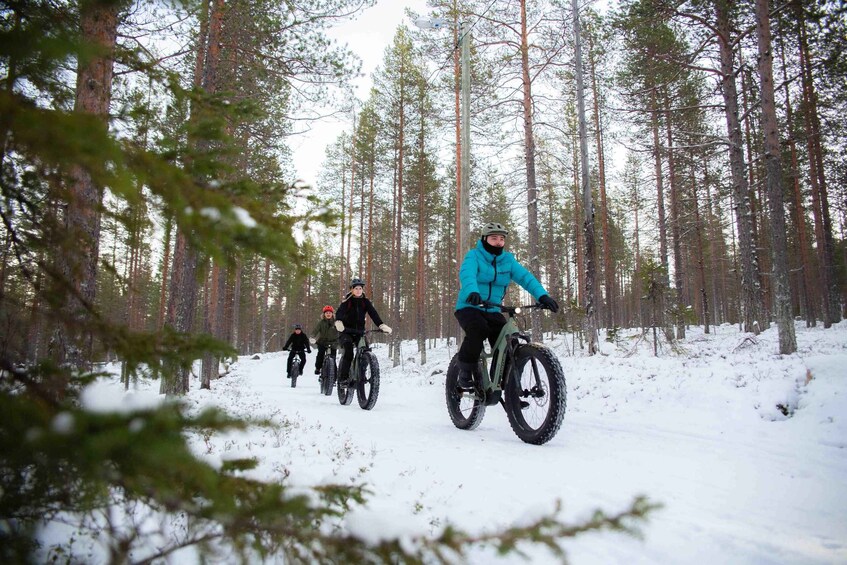 Levi: Reindeer Farm E-Fatbike Safari