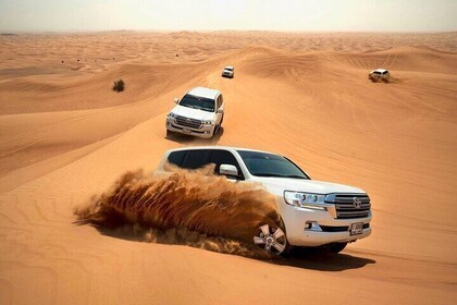 Abu Dhabi Full Day Liwa Desert Safari From Abu Dhabi