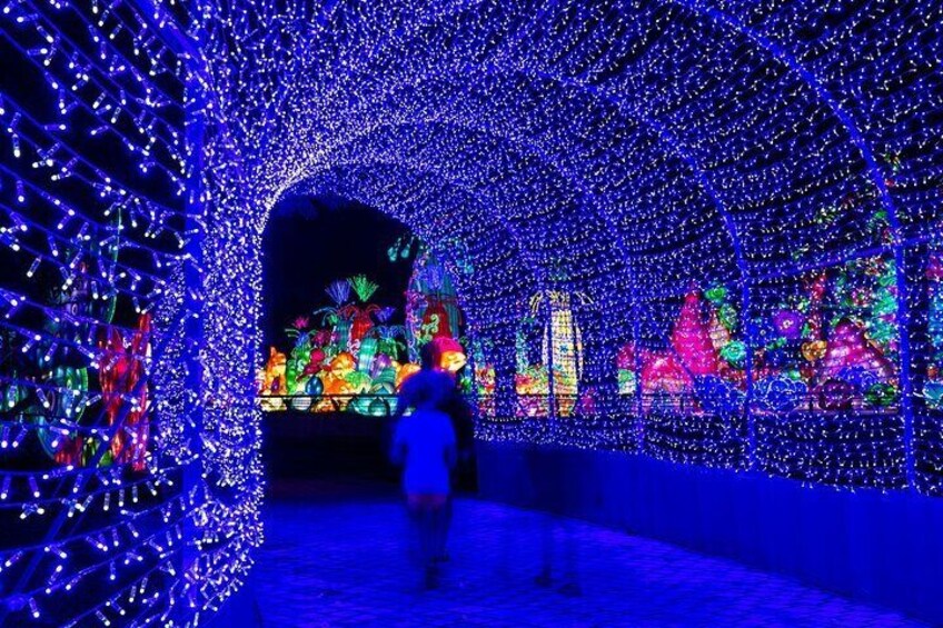 Dubai Glow Garden + Dino Park and Magic Park Admission Ticket