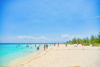 Bambou et trésors de Phi Phi : Excursion privée de 6 heures à bord d'une lo...