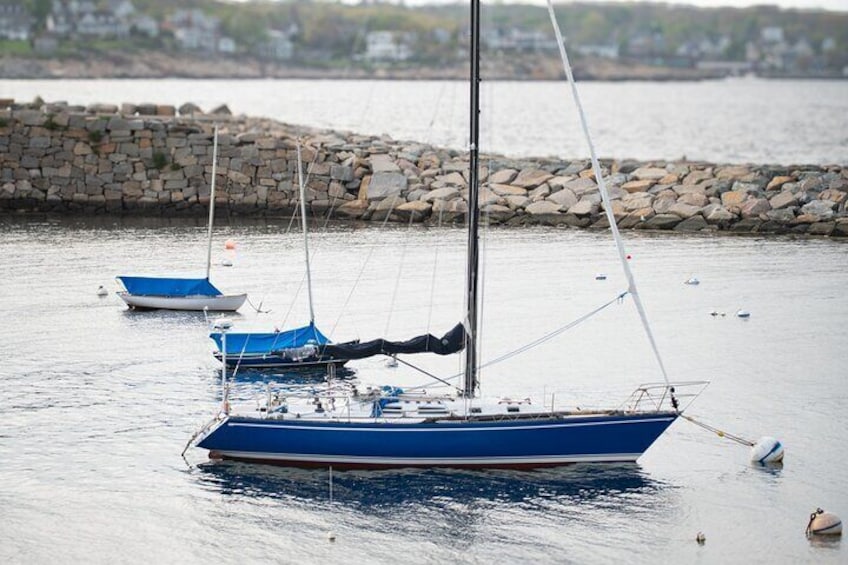 Line of Blue Boats in the Rockport Bay