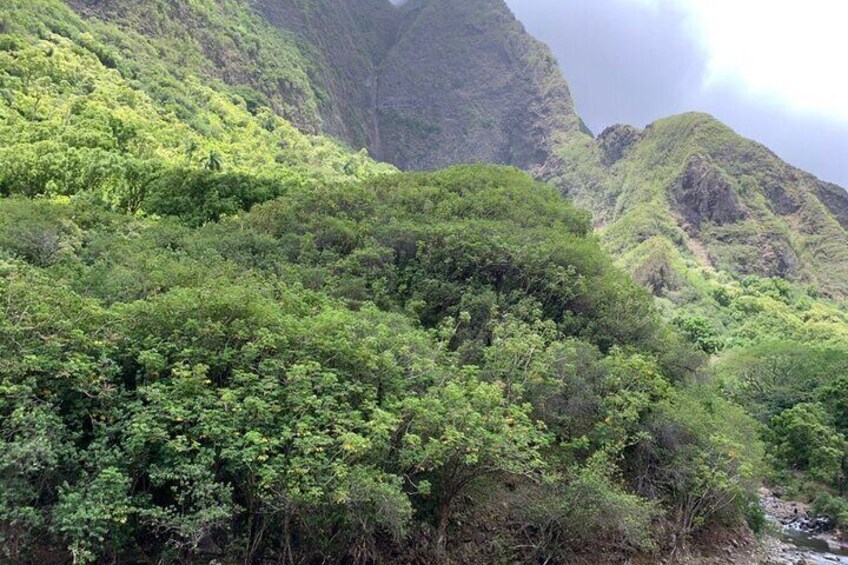 Explore Maui Private Tour