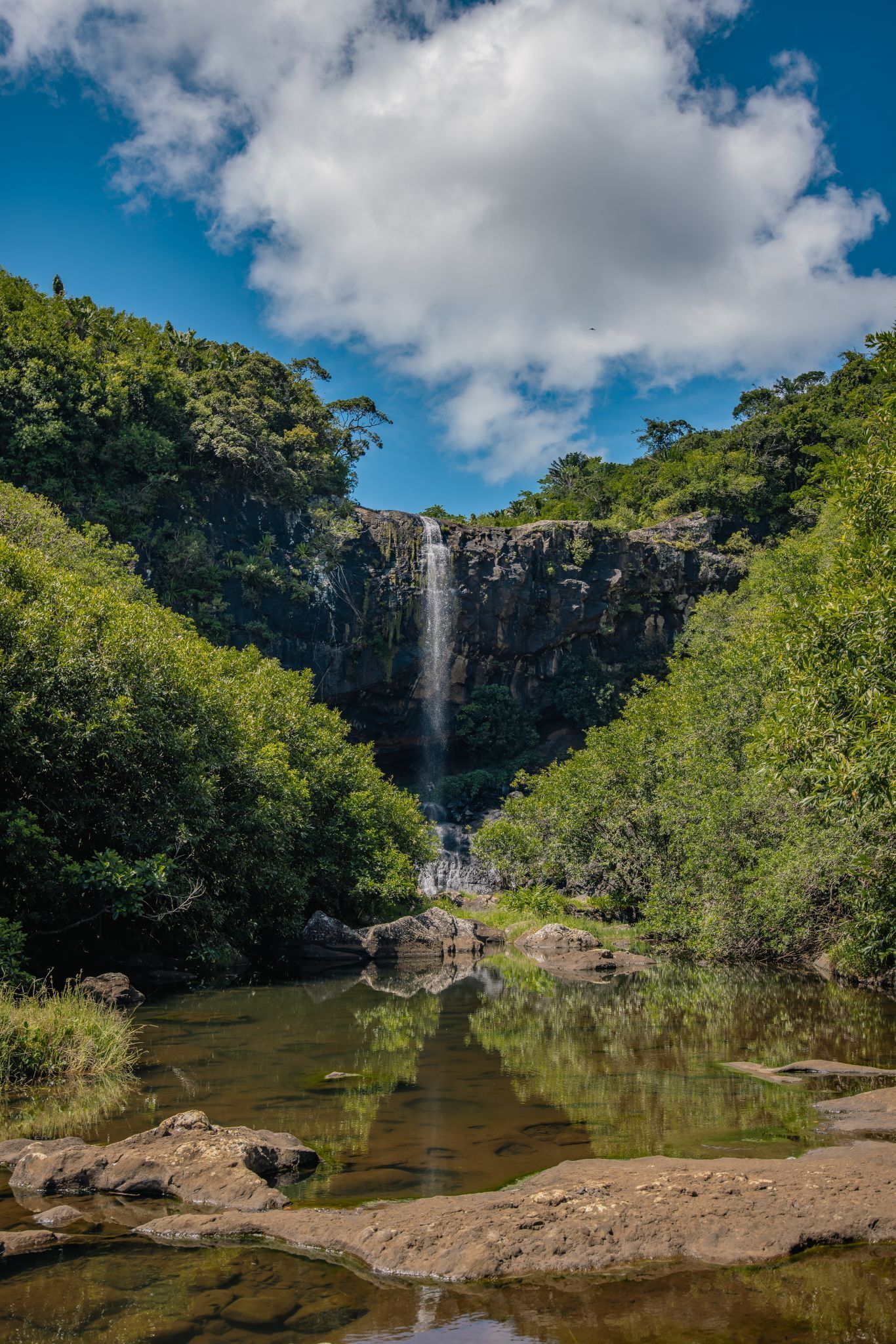 Mauritius: Tamarind Falls Highlights 3-Hour Hiking Trip