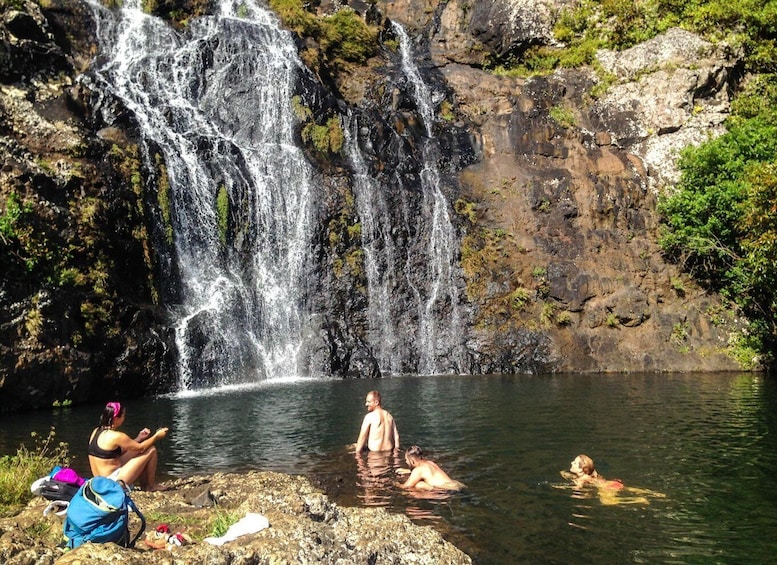 Picture 3 for Activity Mauritius: Tamarind Falls Highlights 3-Hour Hiking Trip