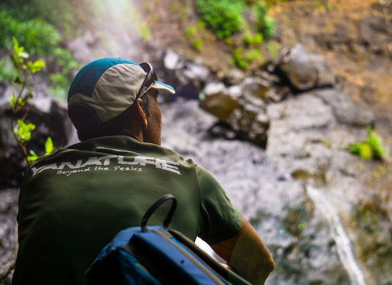 Picture 2 for Activity Mauritius: Tamarind Falls Highlights 3-Hour Hiking Trip