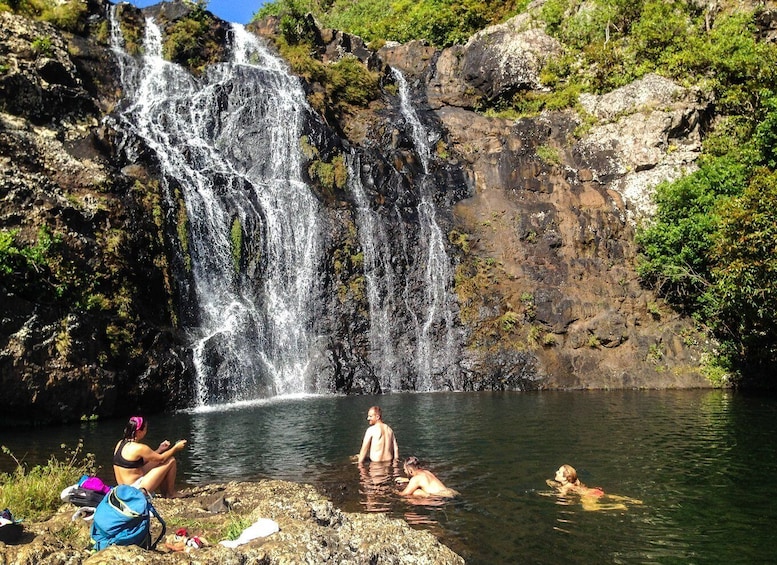 Picture 3 for Activity Mauritius: Tamarind Falls Highlights 3-Hour Hiking Trip