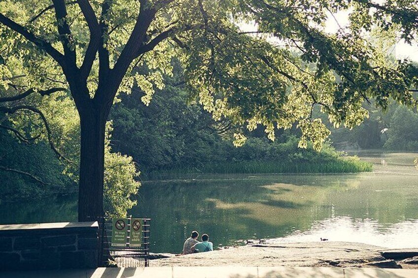 Central Park during Golden Hour