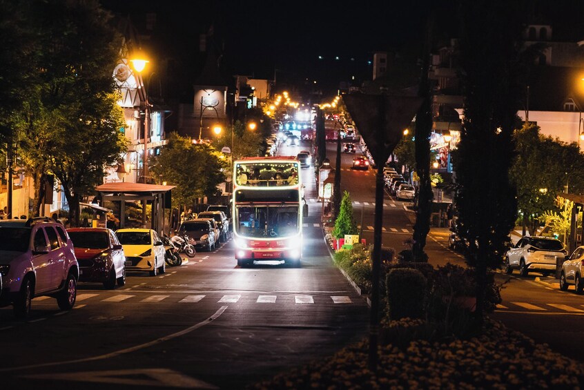 Illumination Bus Tour - Christmas show