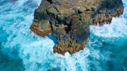 Île Maurice : Excursion de 3 heures à pied dans le Sud sauvage