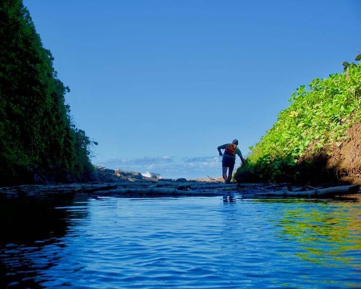 Picture 3 for Activity Mauritius: 3-Hour Hiking the Wild South Excursion