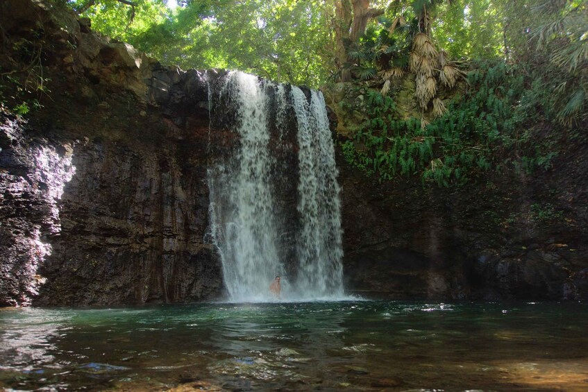 Picture 2 for Activity Mauritius: 3-Hour Hiking the Wild South Excursion